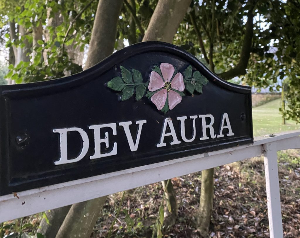 DEV AURA Eingang