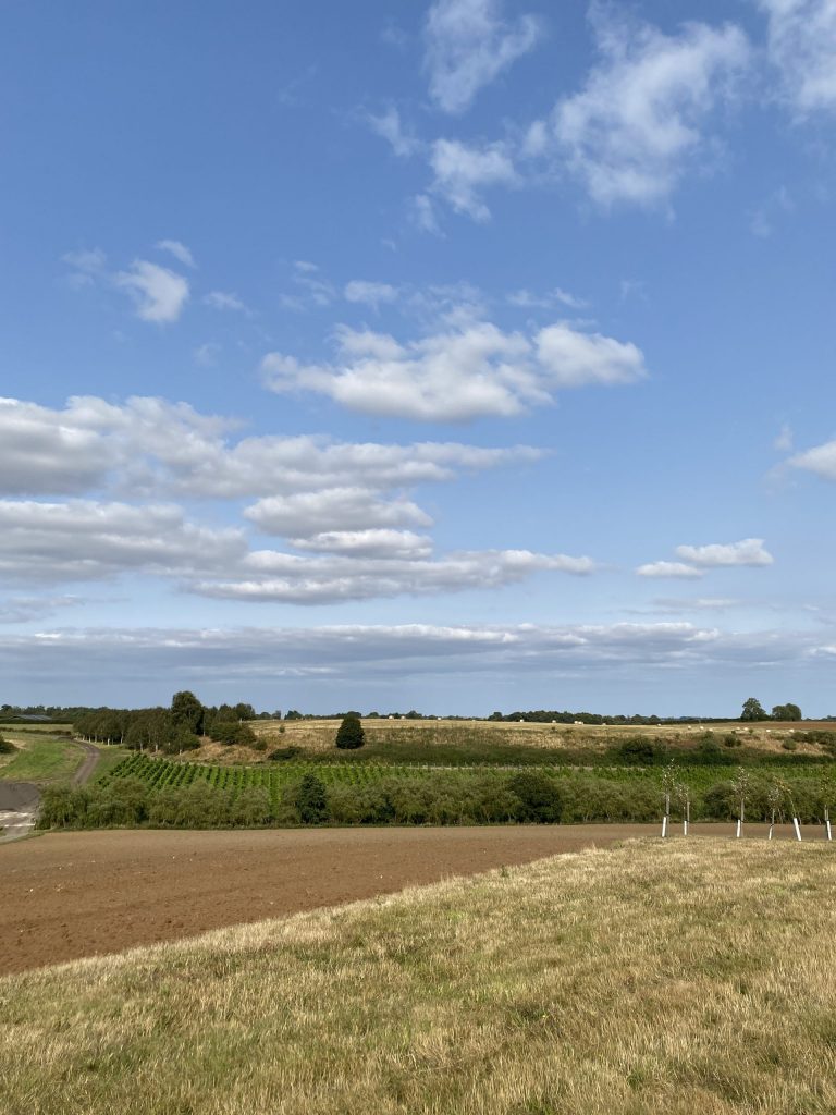 Landschaft in Mittelengland im Sommer