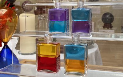 Das Seminar „die Neue Botschaft“